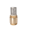 brass foor valve